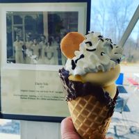 Legen-Dairy ico
