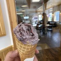Norm & Irv’s Ice Cream Shop ico