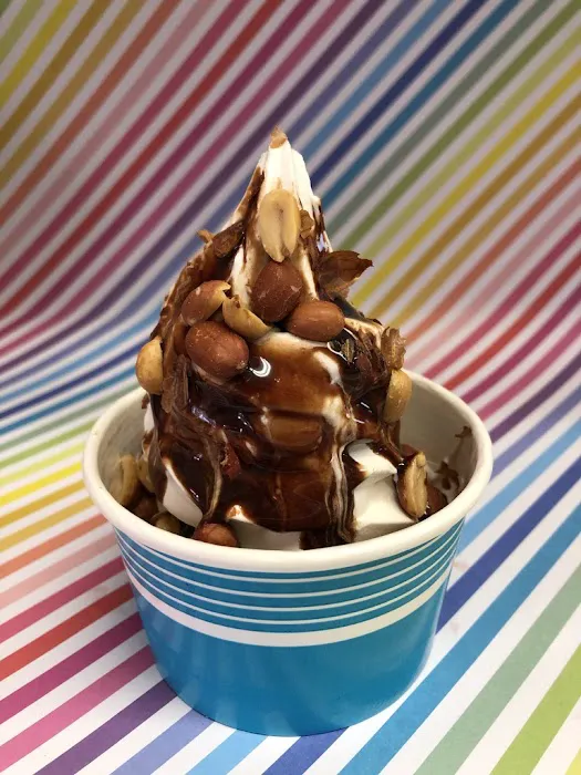 Scoops 22 Picture 2
