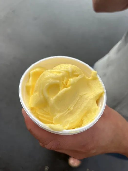Golden Cone Frozen Custard - Madison Heights Picture 5