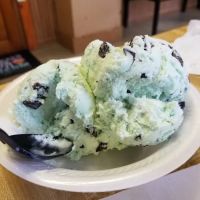 Ice Cream Junction ico