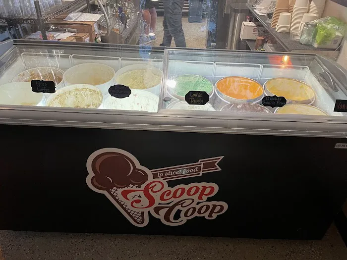 LP Scoop Coop Picture 7