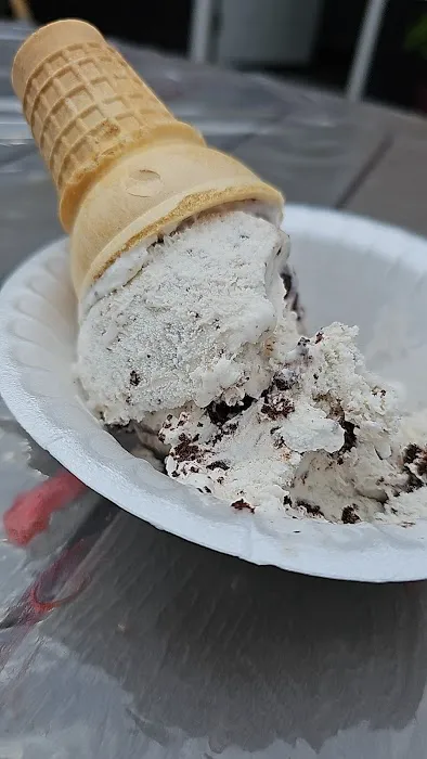 Whippy Dip Picture 3