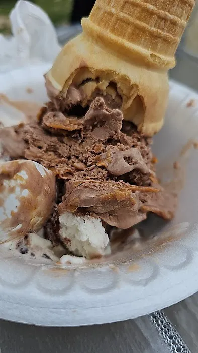 Whippy Dip Picture 7