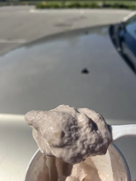 SCOOPS ICE CREAM Picture 10