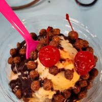 Hippy Dippy Creamery Fort Gratiot ico