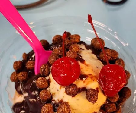 Hippy Dippy Creamery Fort Gratiot
