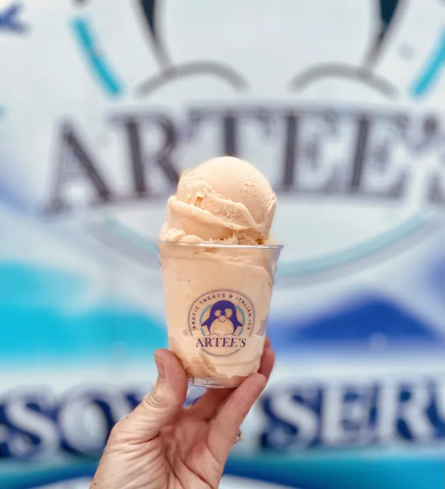 ARTEE’s Arctic Treats Picture 1