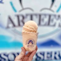 ARTEE’s Arctic Treats ico