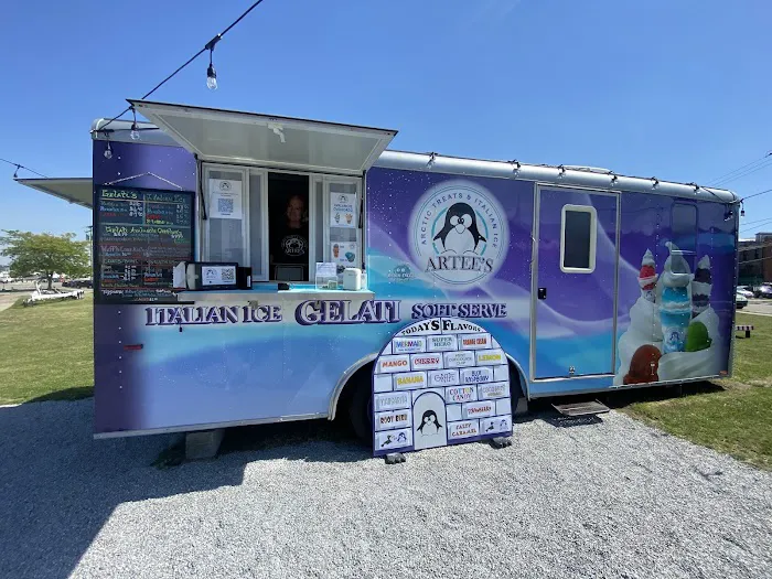 ARTEE’s Arctic Treats Picture 5