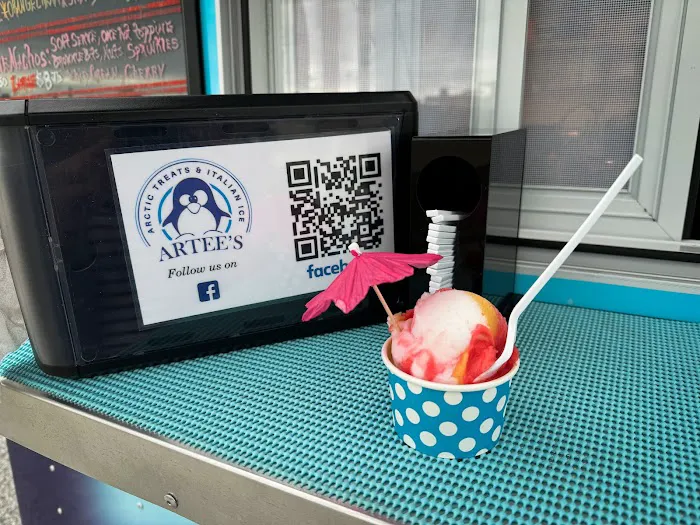 ARTEE’s Arctic Treats Picture 4