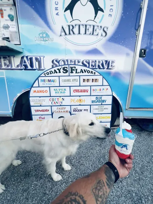 ARTEE’s Arctic Treats Picture 7