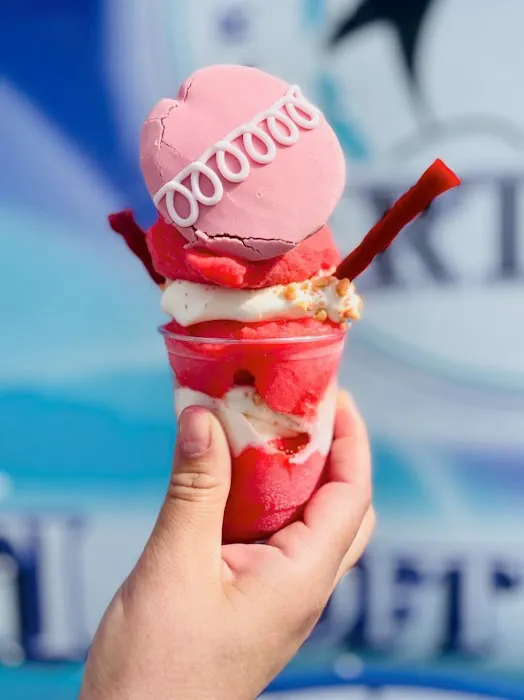 ARTEE’s Arctic Treats Picture 10
