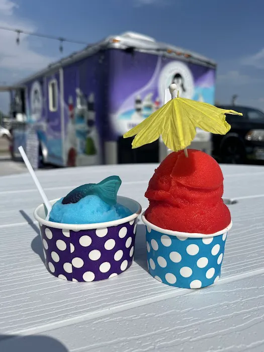 ARTEE’s Arctic Treats Picture 8