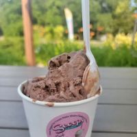 Scoops of Lexington ico