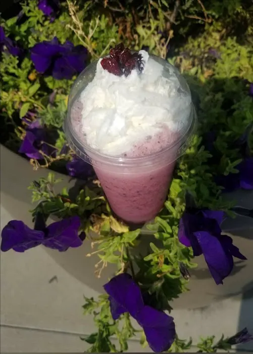 Gourmet Java, Boba Tea & Ice Cream Shoppe Picture 10