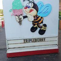 Honey Hut Ice Cream ico