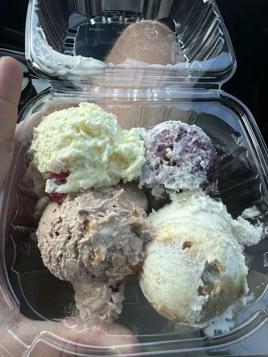 Handel's Homemade Ice Cream Picture 4