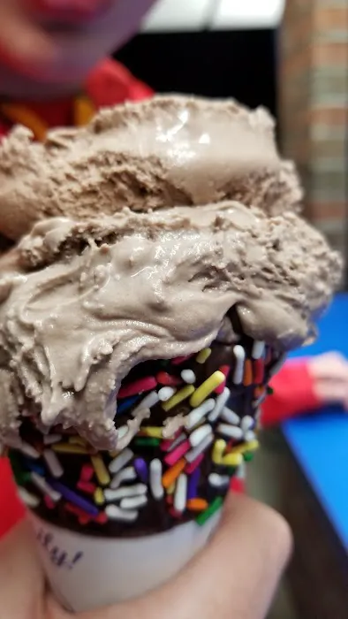 Handel's Homemade Ice Cream Picture 9