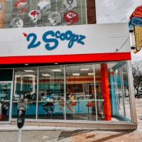 2 Scoopz ico