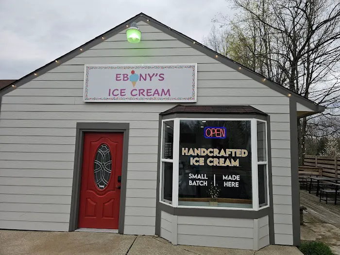 Ebony's Ice Cream Picture 4