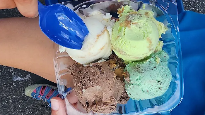 Handel's Homemade Ice Cream Northfield Picture 4
