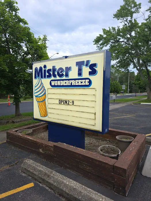 Mister T's Wonderfreeze Picture 7