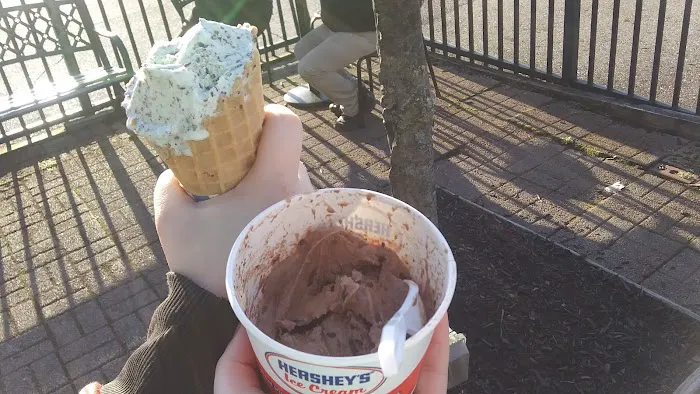 Hershey's of Hudson Ice Cream Picture 3