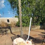 Hershey's of Hudson Ice Cream