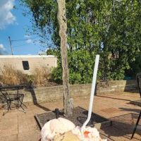 Hershey's of Hudson Ice Cream ico