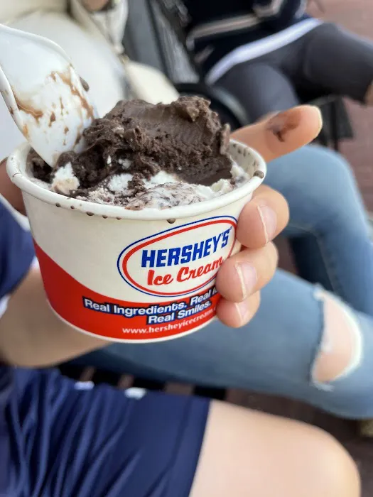 Hershey's of Hudson Ice Cream Picture 6
