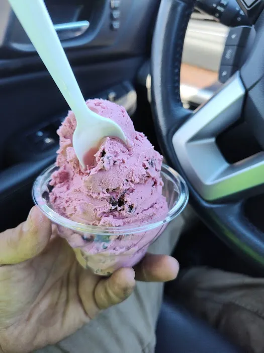 Handel's Homemade Ice Cream Picture 3