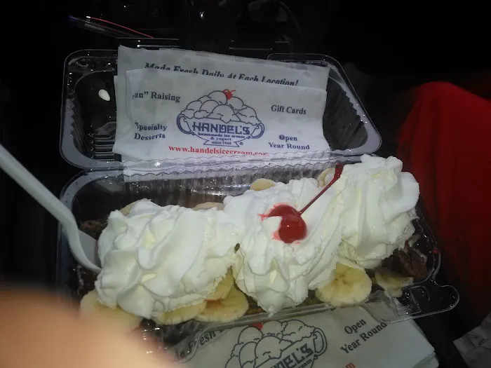 Handel's Homemade Ice Cream Picture 7