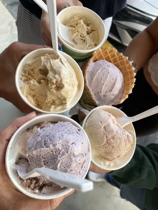Scoopy Scoops Picture 2