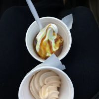 Dairy Delites ico
