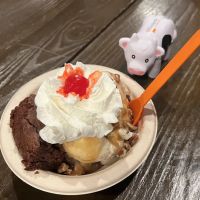 Ehrler's Ice Cream ico