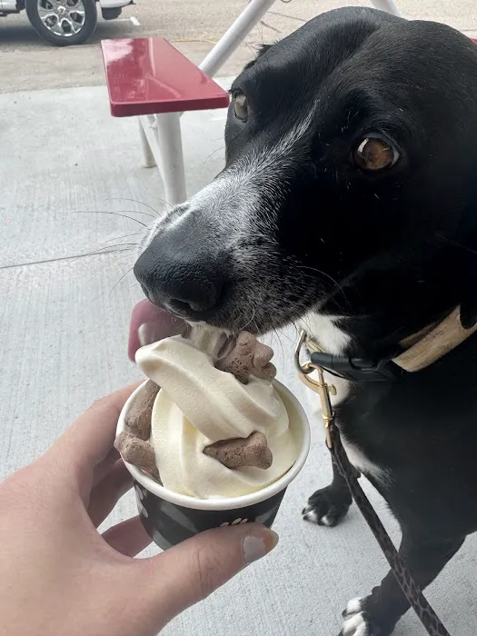 Gertrude's Ice Cream Picture 1