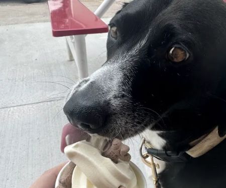 Gertrude's Ice Cream