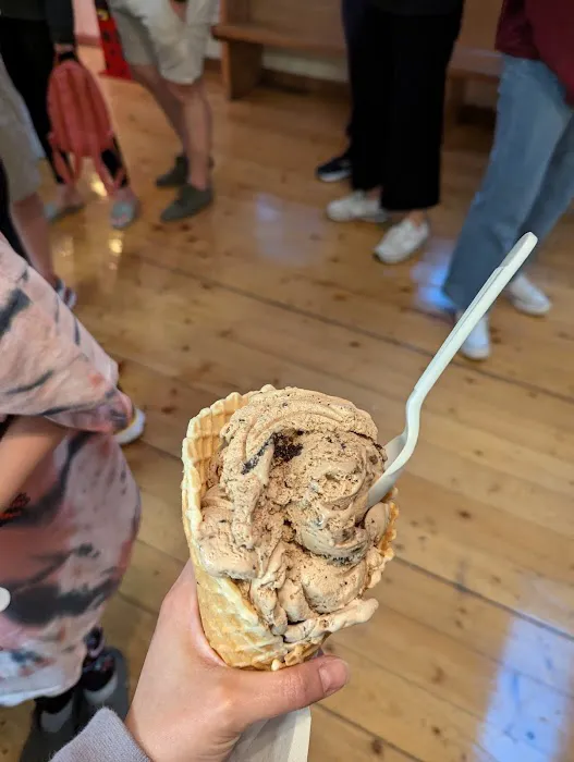 Scoopers Ice Cream Picture 2