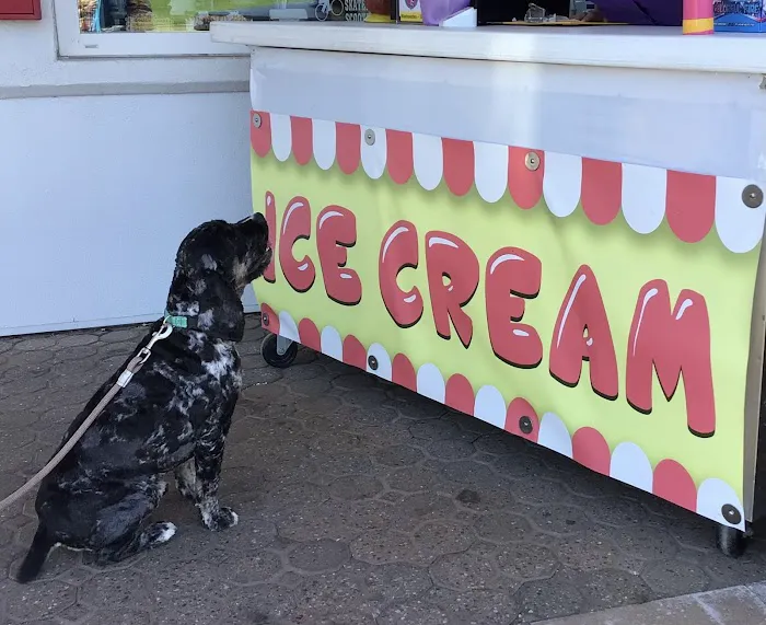 Twisted Ice Cream Picture 7