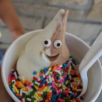 Briq's Soft Serve ico