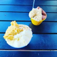 American Spoon Gelato ico