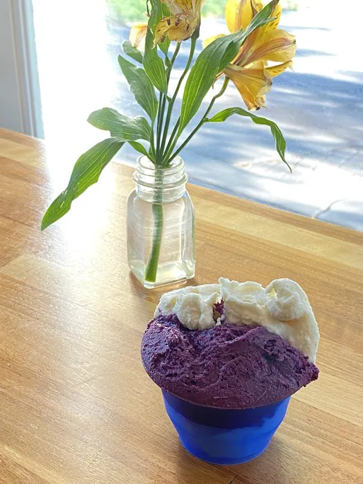 American Spoon Gelato Picture 5