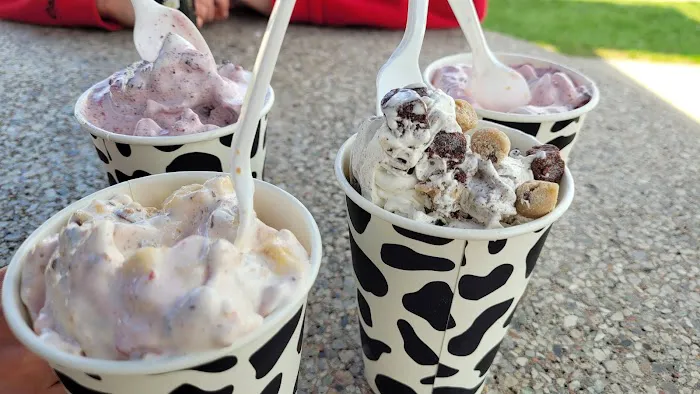 Cold Cow Ice Cream Picture 1