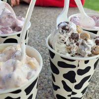 Cold Cow Ice Cream ico