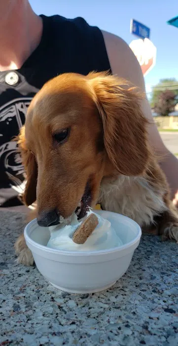 Cold Cow Ice Cream Picture 10