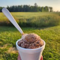 Rybak's Ice Cream Store ico