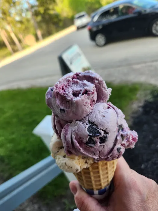 Rybak's Ice Cream Store Picture 4