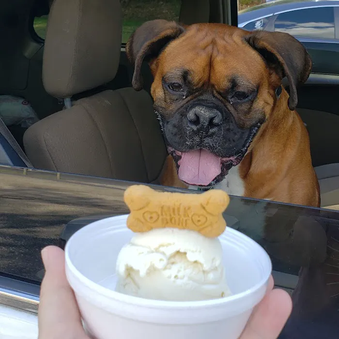 New Baltimore Ice Cream Picture 9