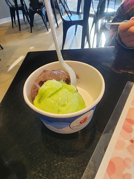 Almost Heaven Ice Cream Picture 10